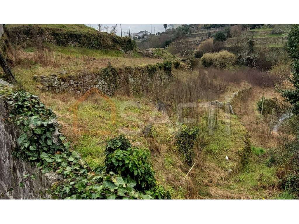 Terreno de cultivo de vinha NÃO CONSTRUTIVO - Grande imagem: 3/3