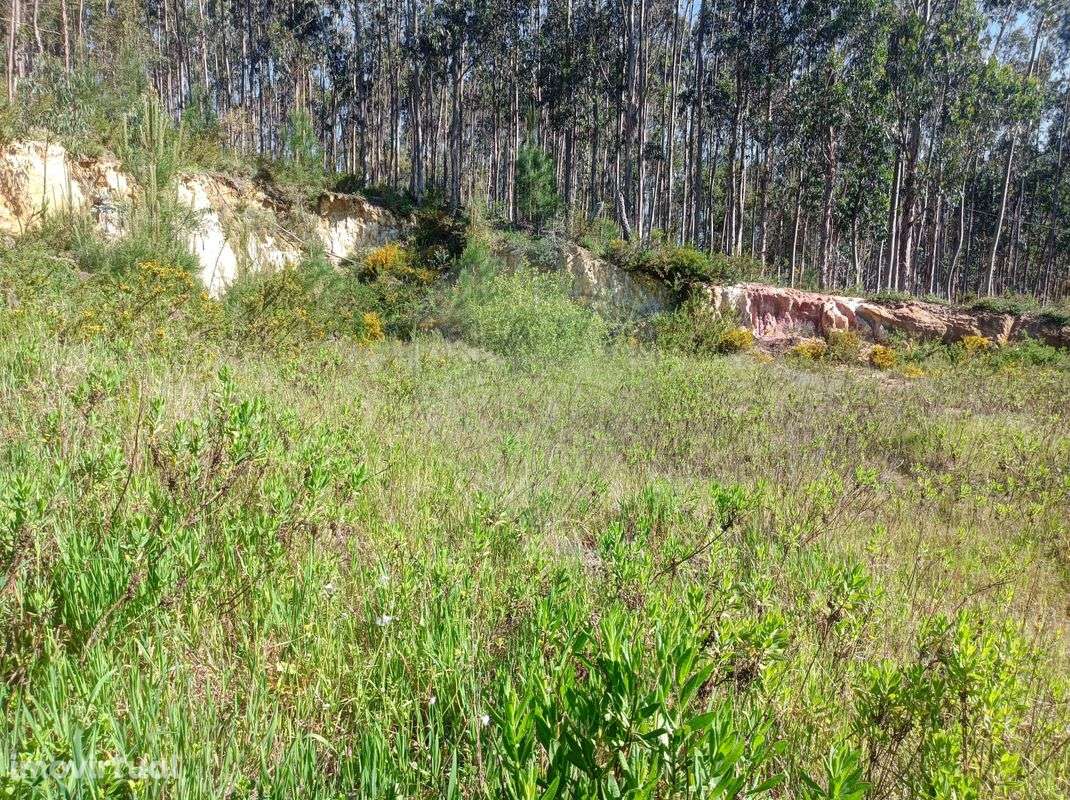 Terreno  para venda - Grande imagem: 5/7