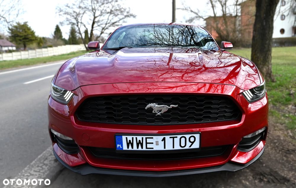 Ford Mustang - 9