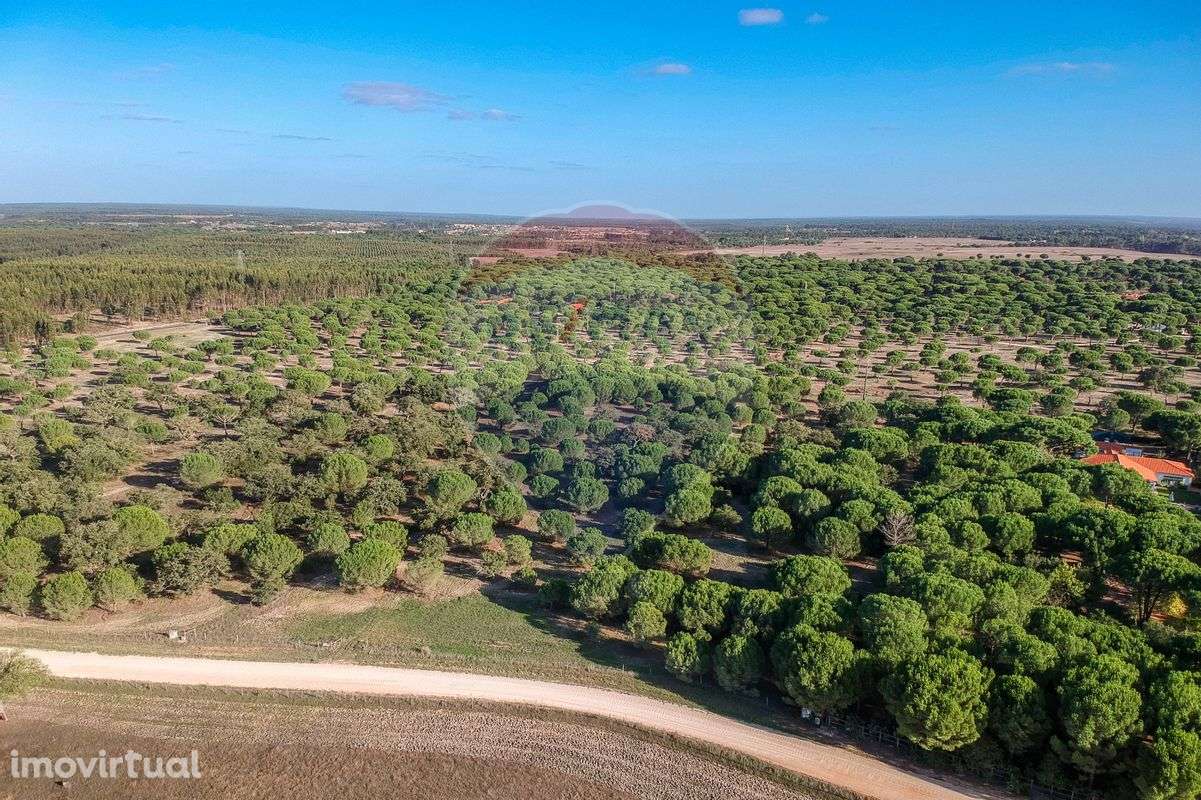 Terreno  para venda - Grande imagem: 4/7