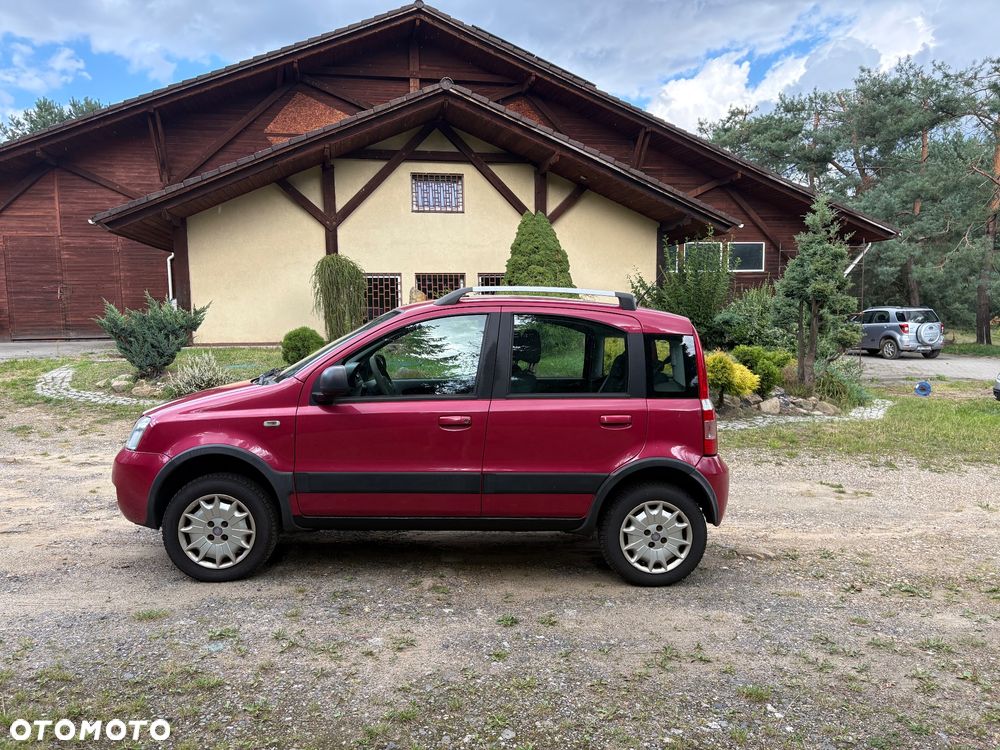 Fiat Panda 1.2 4x4 Classic - 8