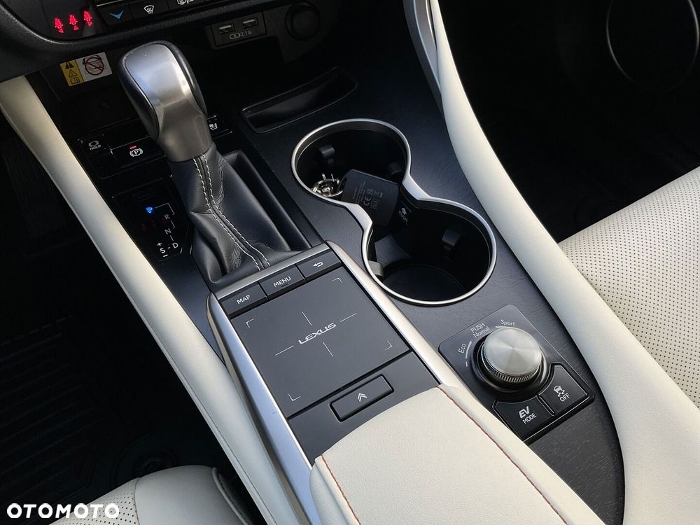 Lexus RX 450h F-Impression - 32
