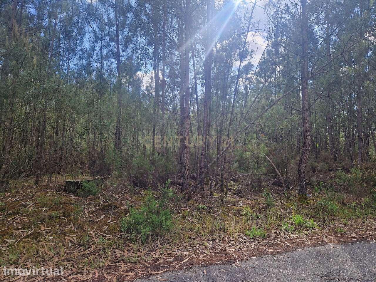 Terreno em Vagos com 770m² - Oportunidade Única! - Grande imagem: 3/5