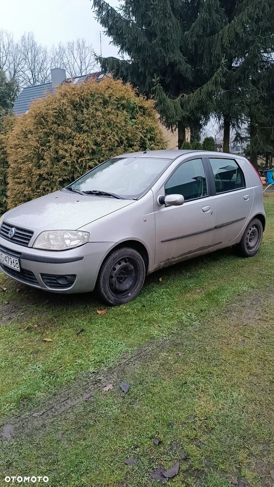 Fiat Punto - 3