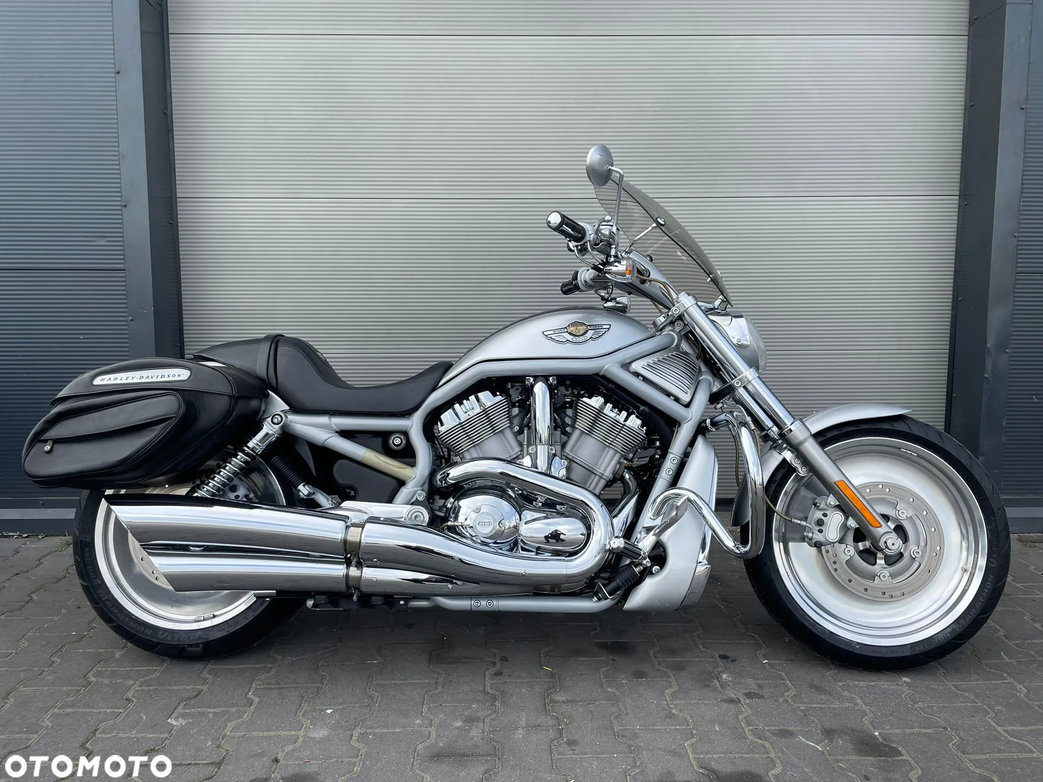 Harley-Davidson Softail V-Rod - 3