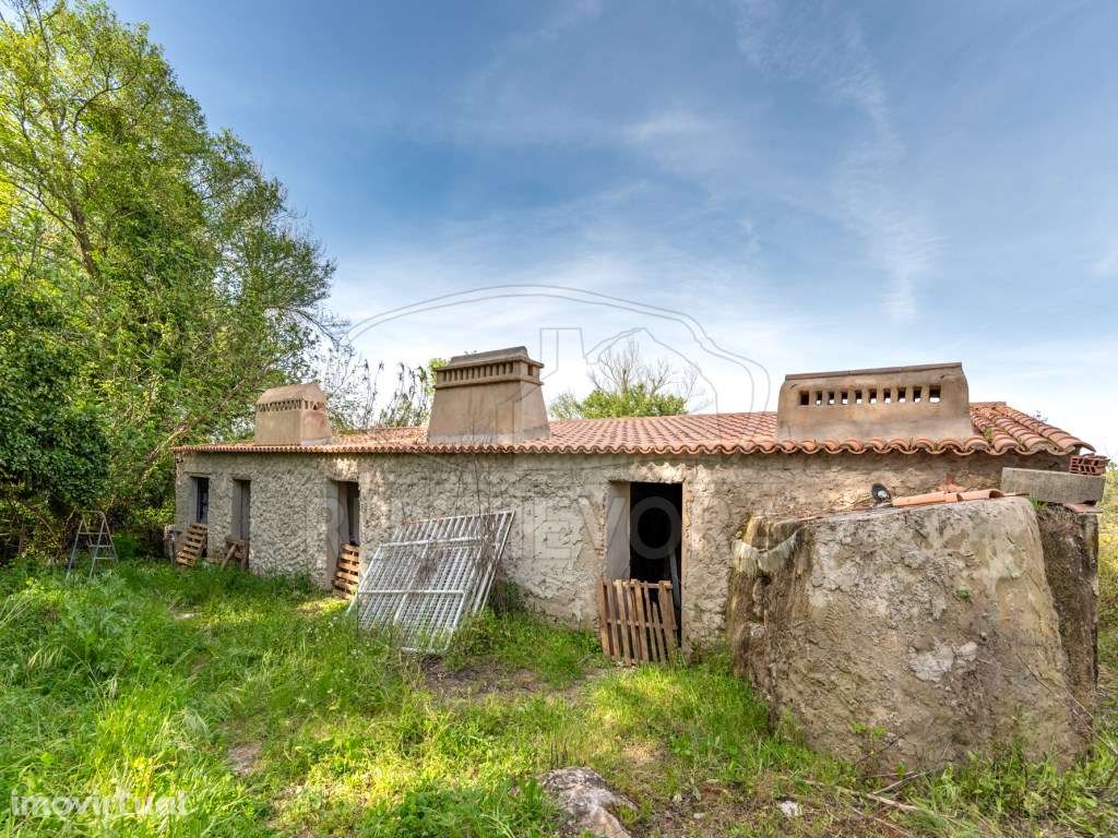 Quinta com duas casas, piscina, ribeira e AgroFloresta | Montemor-o... - Grande imagem: 5/18