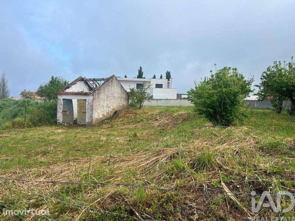 Terreno misto em Lamas e Cercal - Grande imagem: 4/19