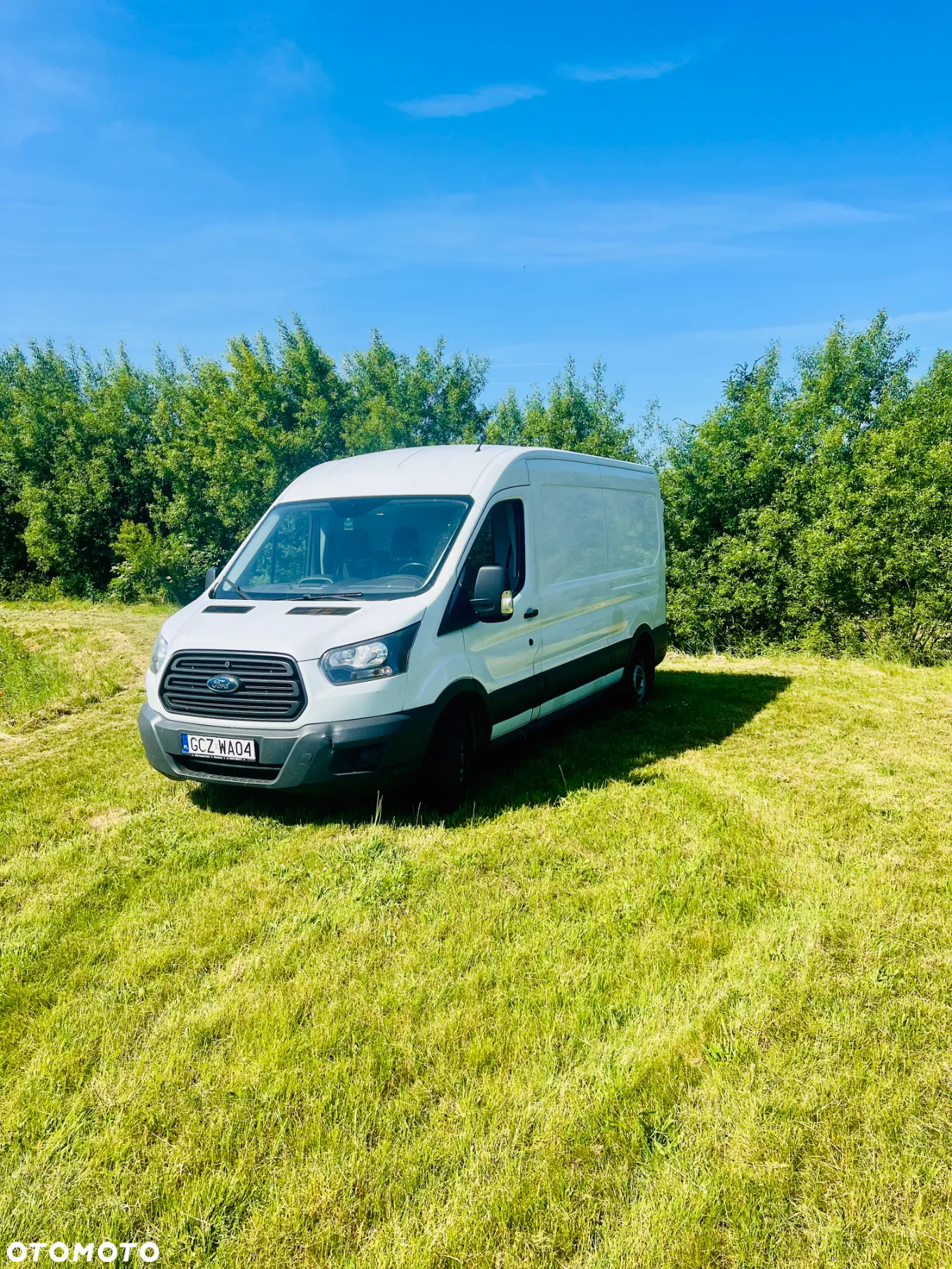 Ford Transit Max Maxi - 3