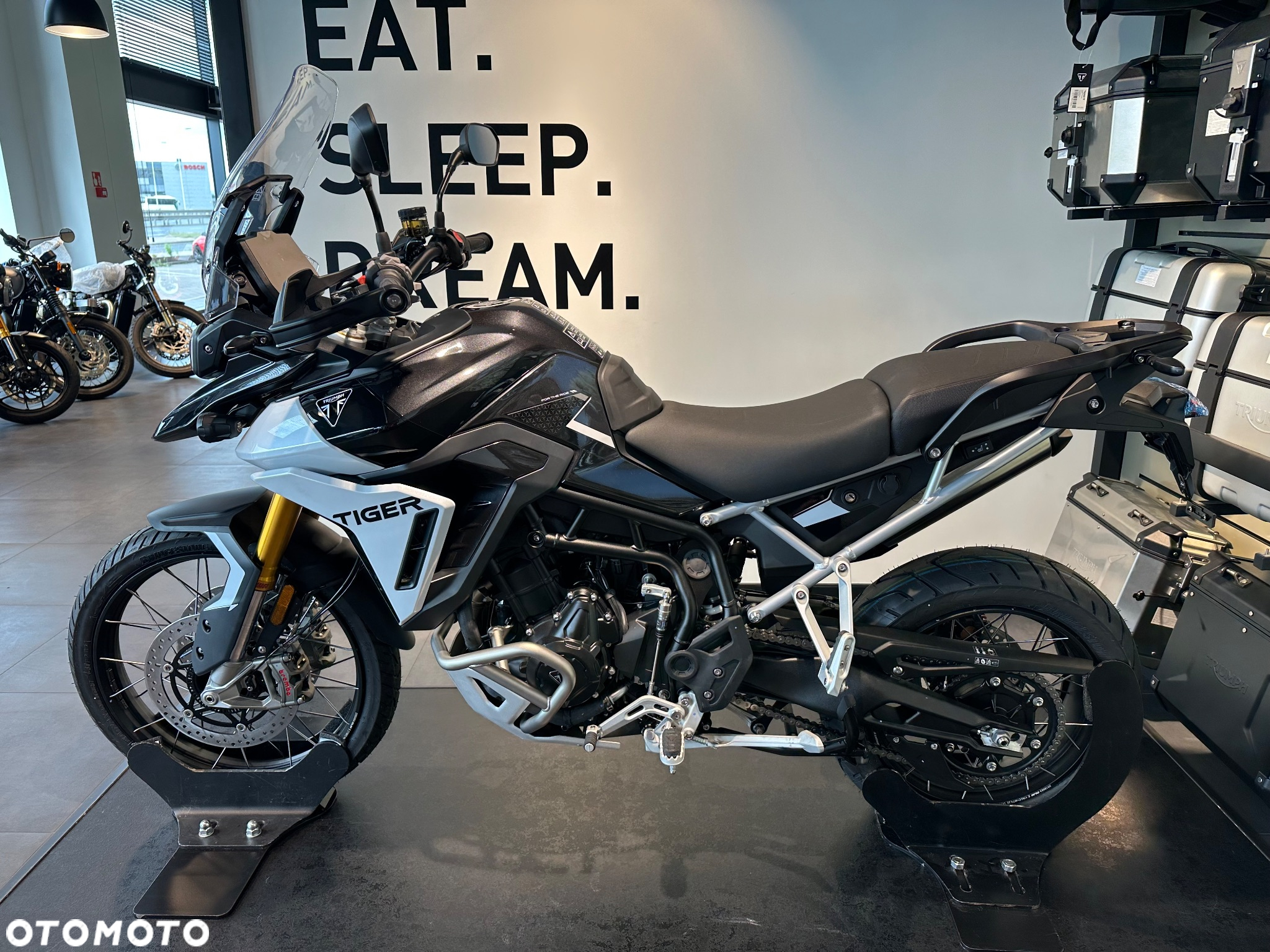 Triumph Tiger - 7
