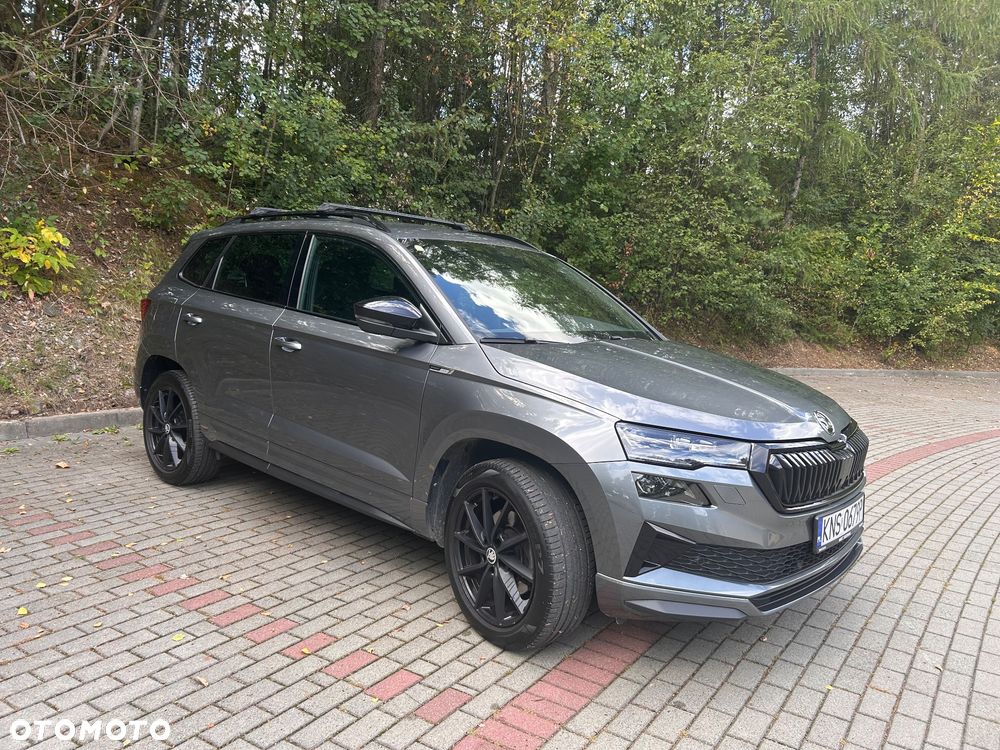 Skoda Karoq - 1
