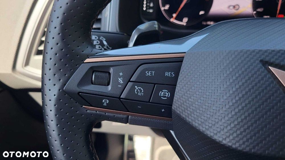 Cupra Ateca - 20