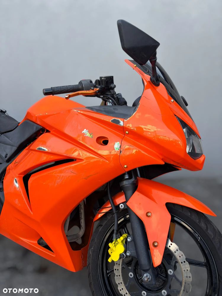 Kawasaki Ninja 250R - 9