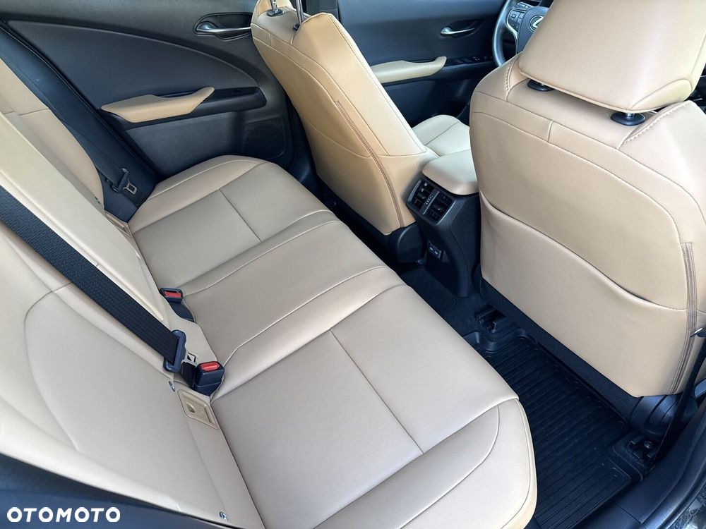 Lexus UX 250h GPF F Sport Design 2WD - 11