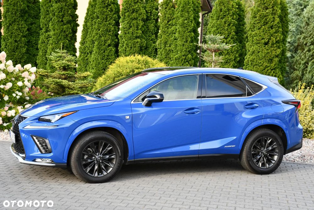 Lexus NX 300h E-FOUR F SPORT - 6