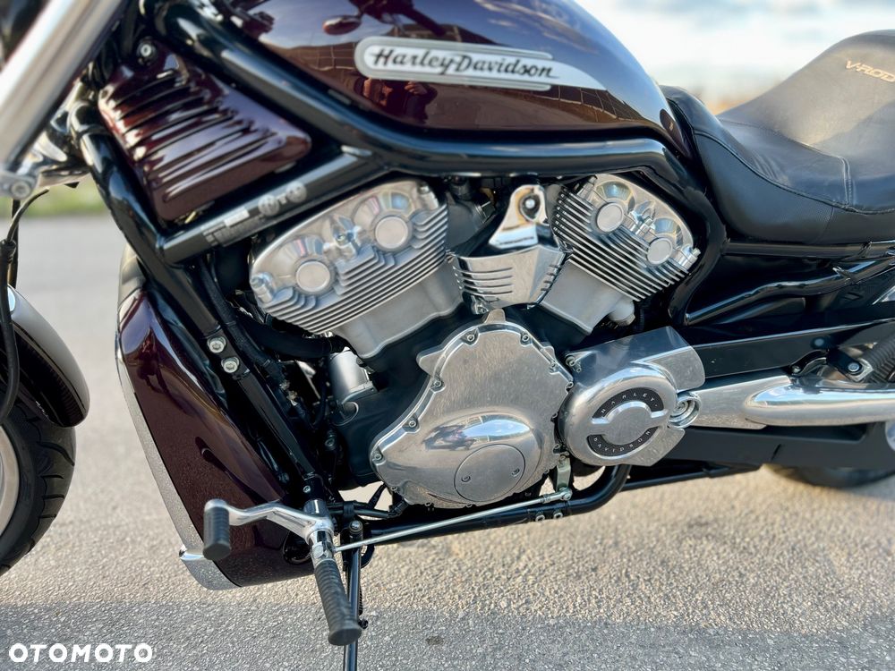 Harley-Davidson V-Rod Street Rod - 8