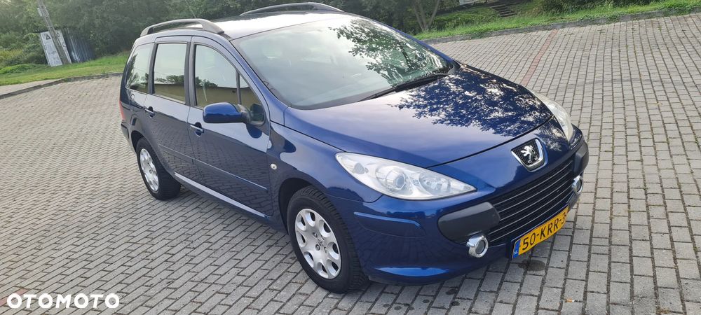 Peugeot 307 110 Premium - 32