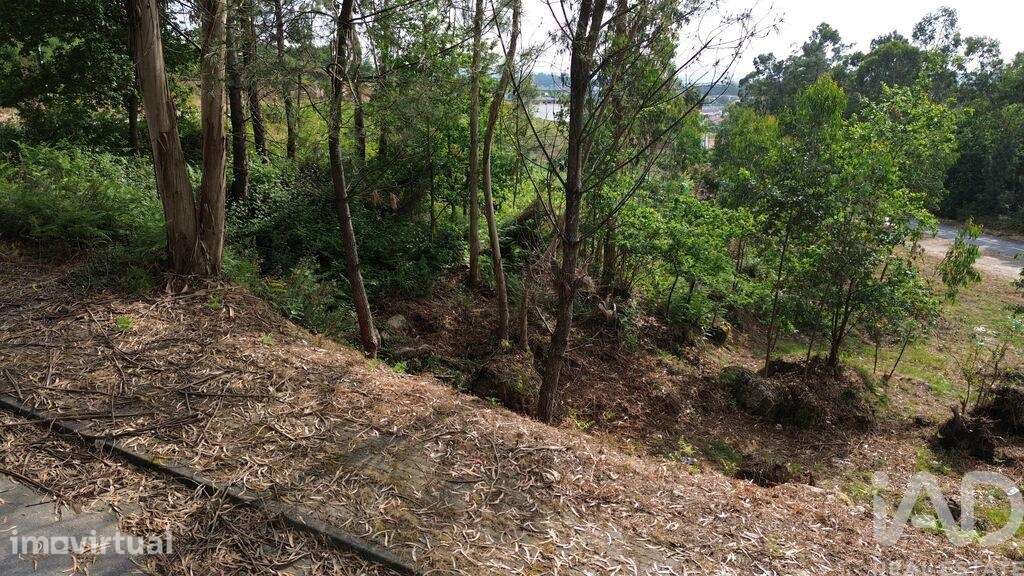 Terreno para construção em Ruivães e Novais - Grande imagem: 3/3