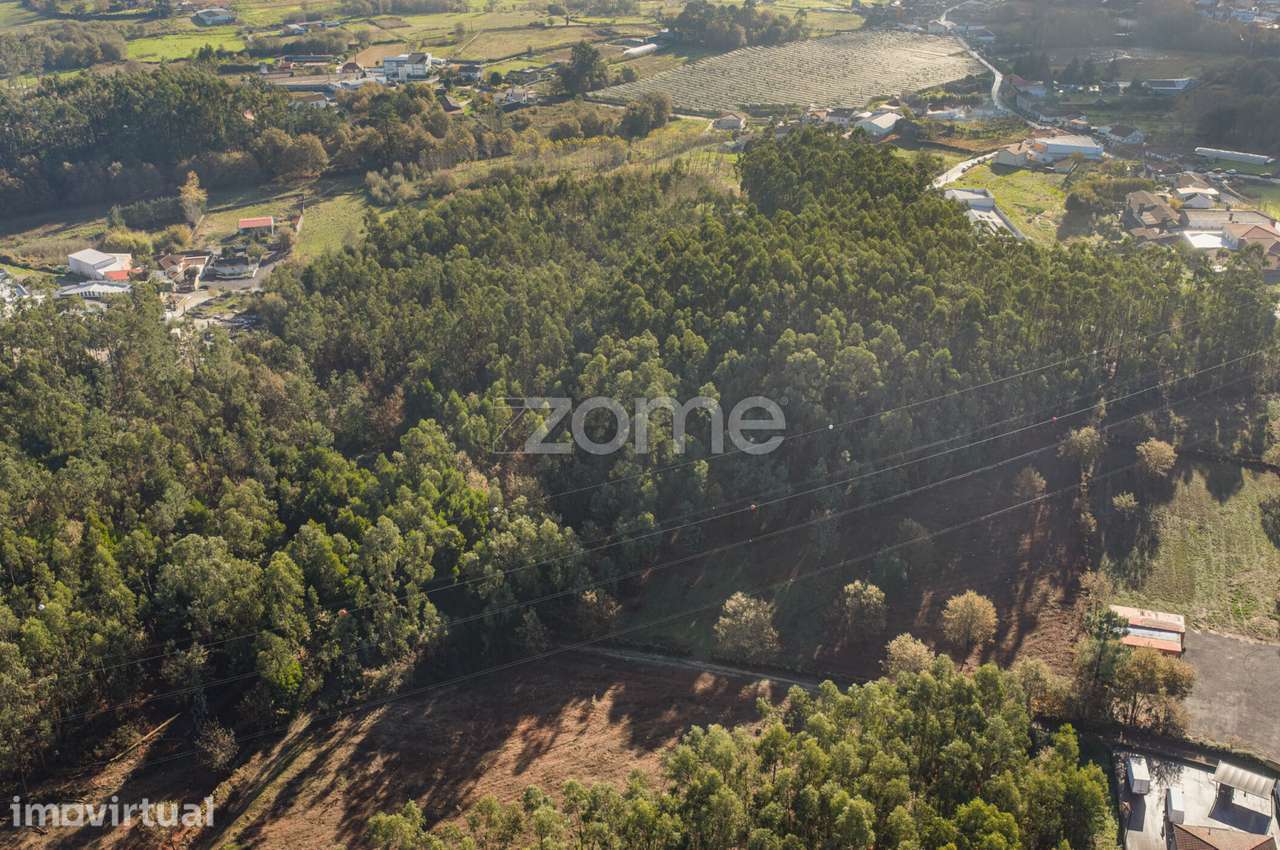 Terreno Rústico com 3.930 m2 na Carvalhosa, Paços de Ferreira - Grande imagem: 5/15