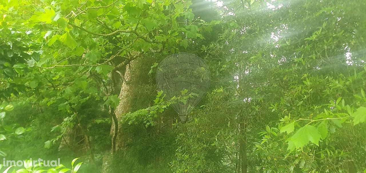 Terreno  para venda - Grande imagem: 3/3