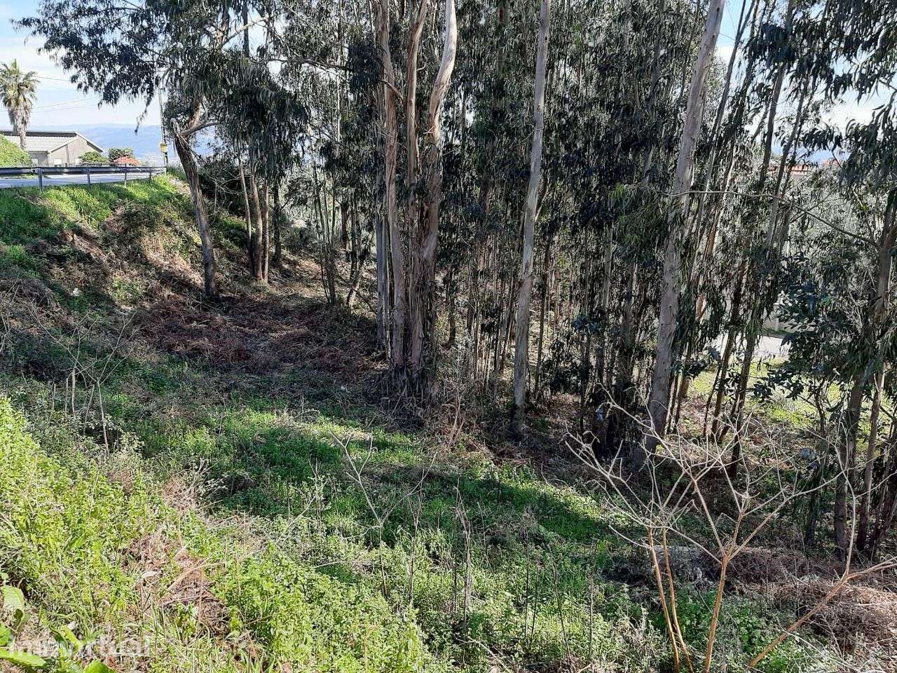Vende terreno c/ 3.408m2 todo zona construção Canelas Penafiel - Grande imagem: 3/11