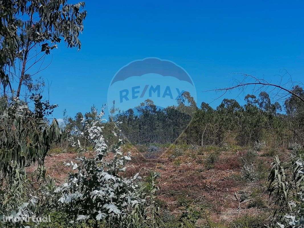 Terreno  para venda - Grande imagem: 3/16