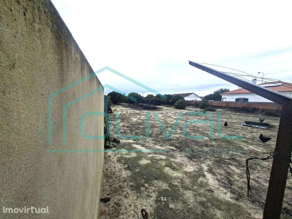 Lote de Terreno para Construção de Quintinha - Grande imagem: 5/5