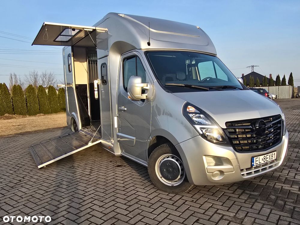 Opel Movano-Koniowóz - 1