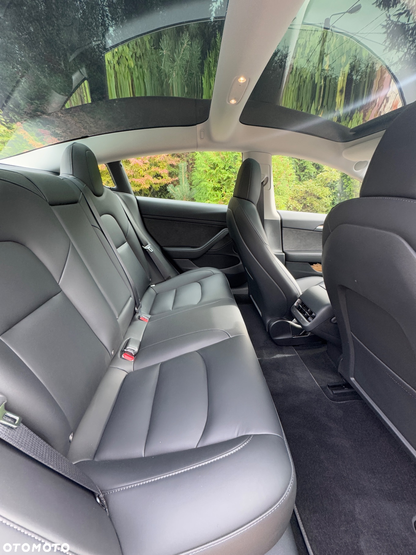 Tesla Model 3 Standard Range Plus - 15
