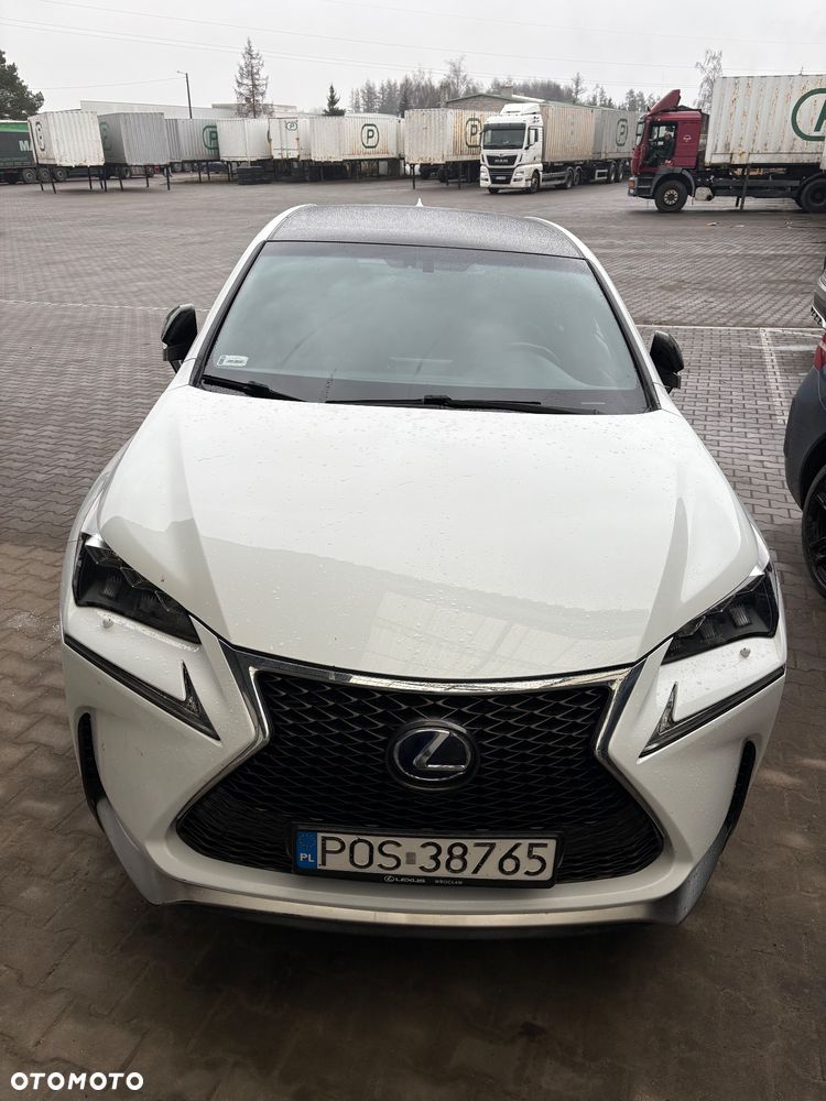 Lexus NX 300h F Sport Edition AWD - 6