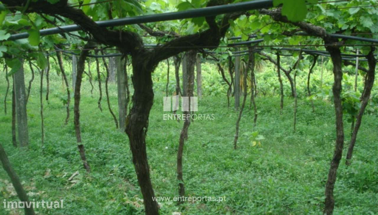 Venda Terreno, junto à estrada, Penha Longa, Marco de Canaveses - Grande imagem: 2/10