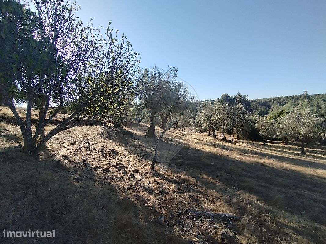 Terreno  para venda - Grande imagem: 5/6