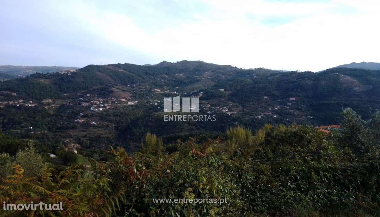 Venda Terreno com viabilidade de construção, Ancede, Baião - Grande imagem: 3/30