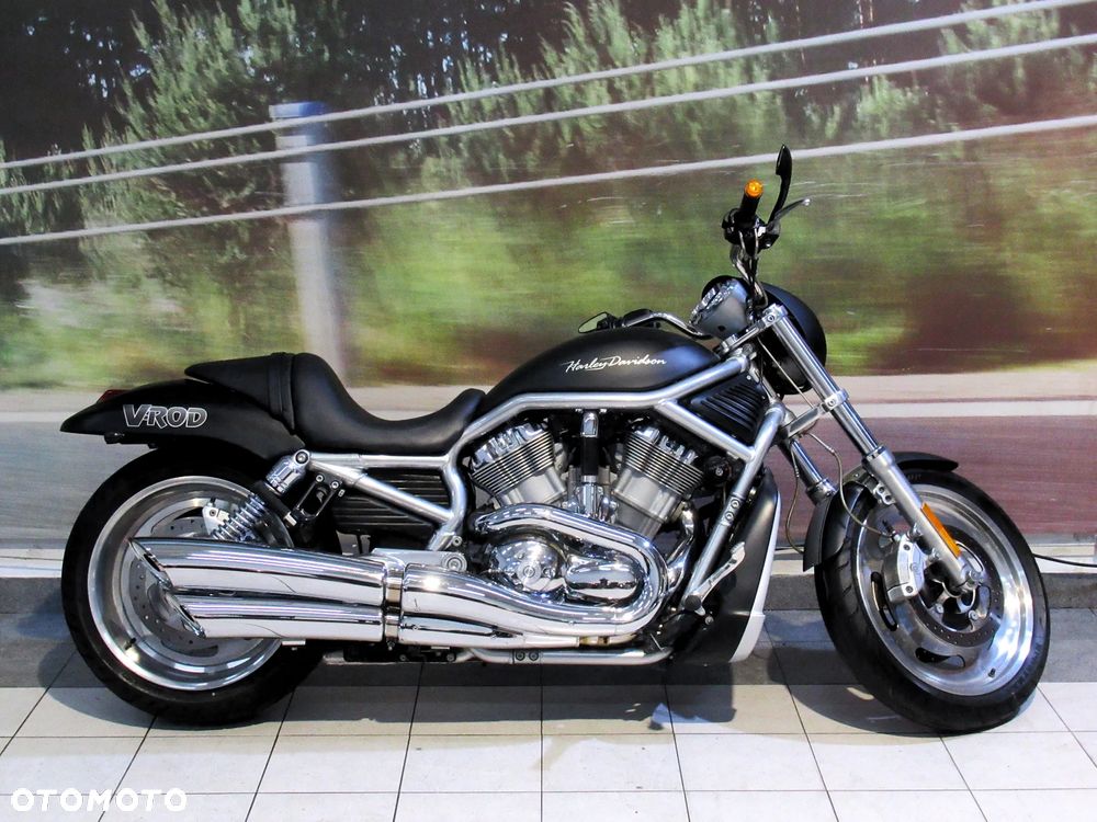 Harley-Davidson Softail V-Rod - 4
