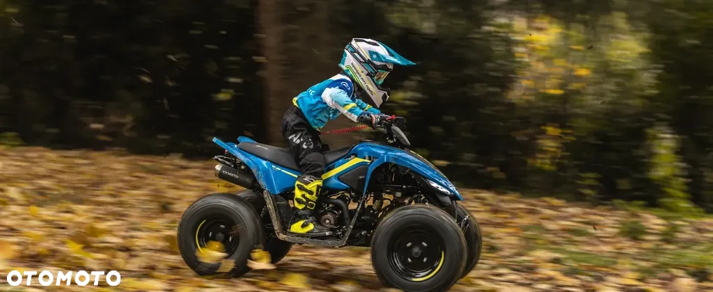 CFMoto CForce - 3