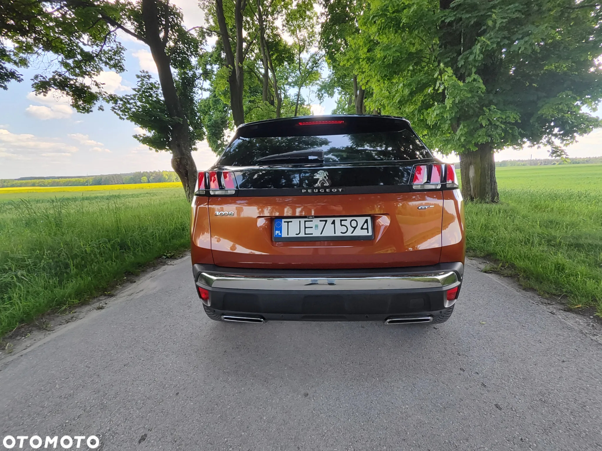 Peugeot 3008 2.0 BlueHDi GT S&S EAT8 - 21