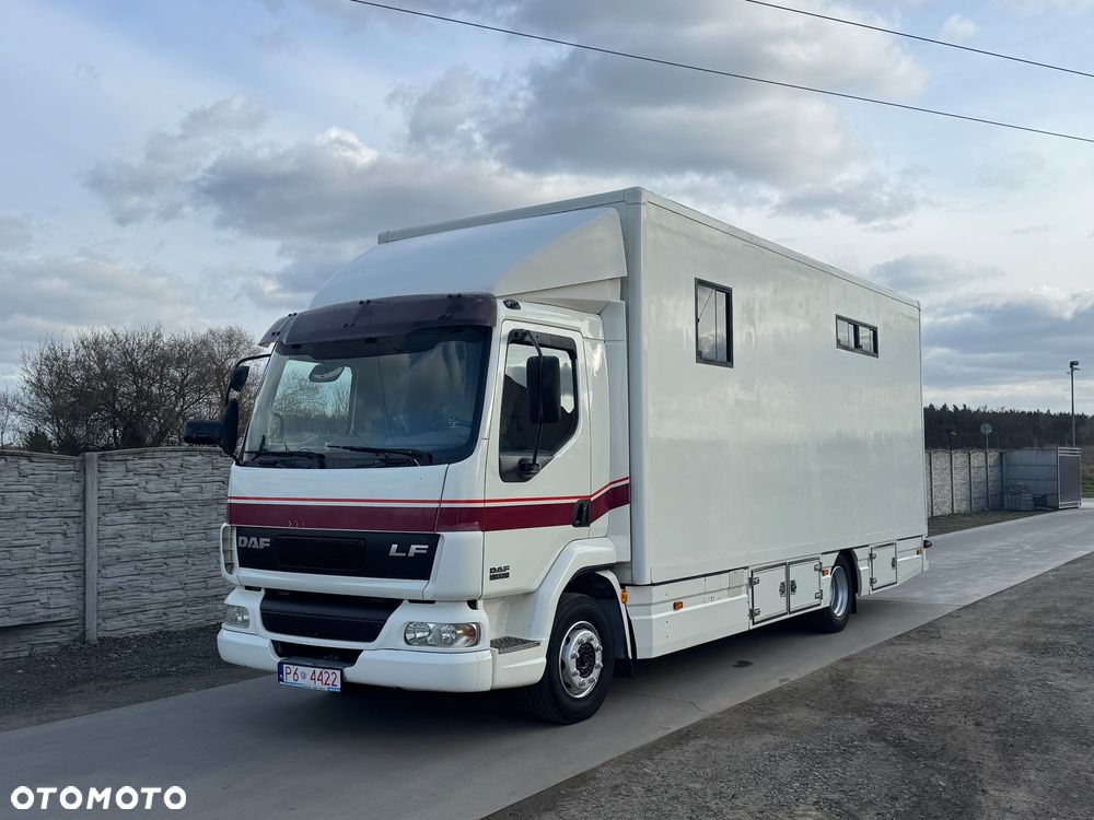 DAF LF 45.170 Koniowóz - 1