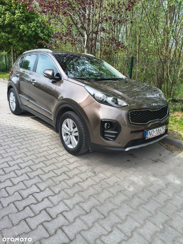 Kia Sportage 1.6 T-GDI Business Line 2WD - 8