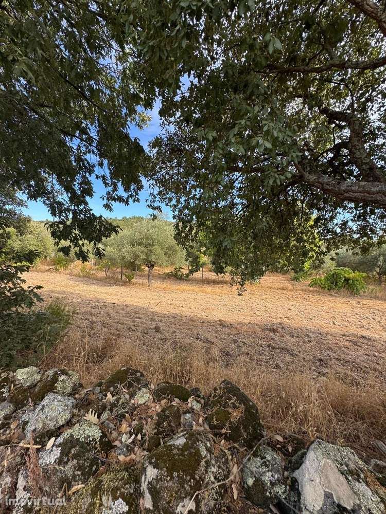 Quinta - Grande imagem: 5/14