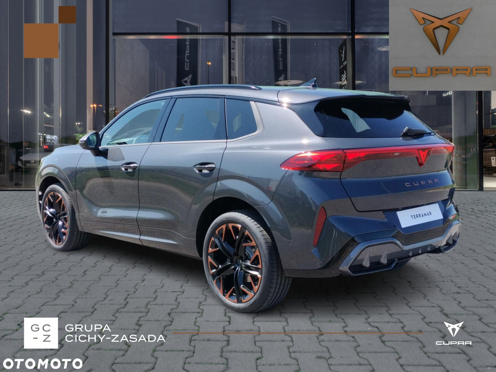 Cupra Terramar 2.0 TSI 4Drive DSG - 3