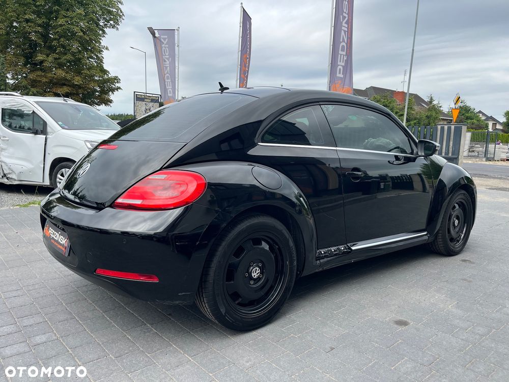 Volkswagen Beetle - 6