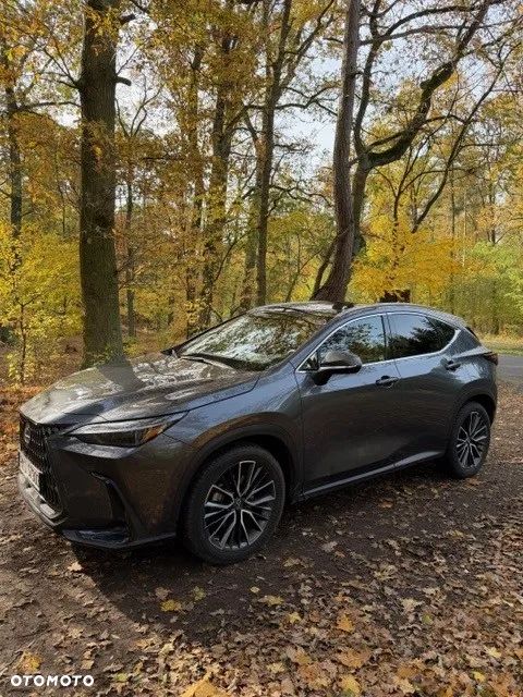 Lexus NX 350h Omotenashi AWD - 8