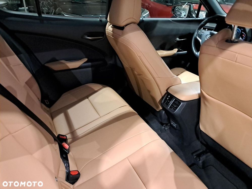 Lexus UX 250h GPF F Sport Design 2WD - 10