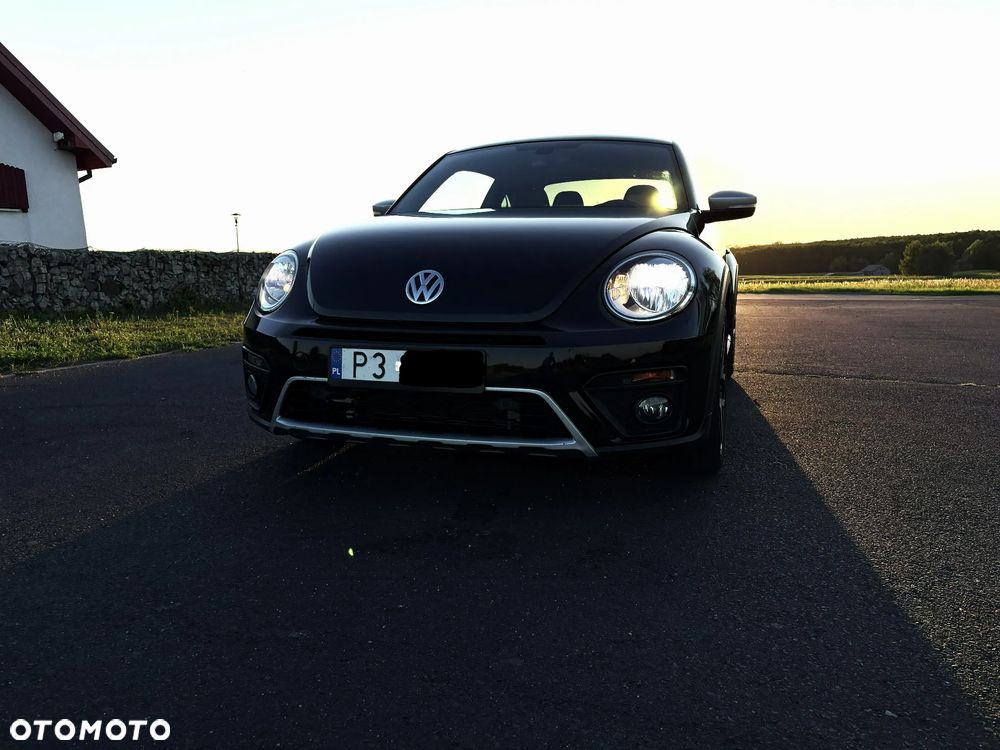 Volkswagen Beetle - 5