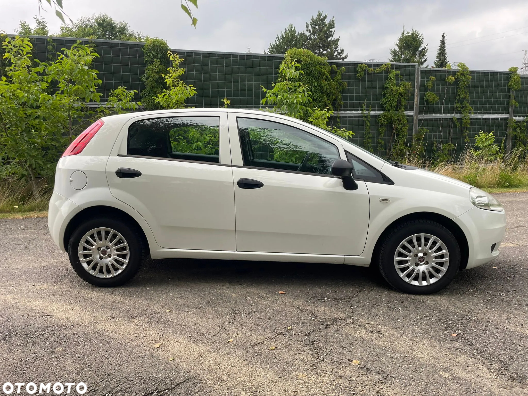 Fiat Punto - 7