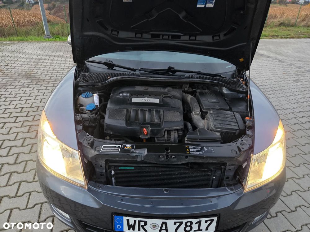 Skoda Octavia - 18