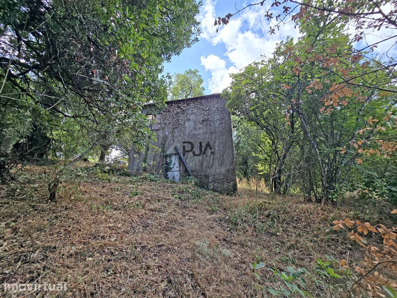 Quinta  Venda em Mangualde, Mesquitela e Cunha Alta,Mangualde - Grande imagem: 4/9