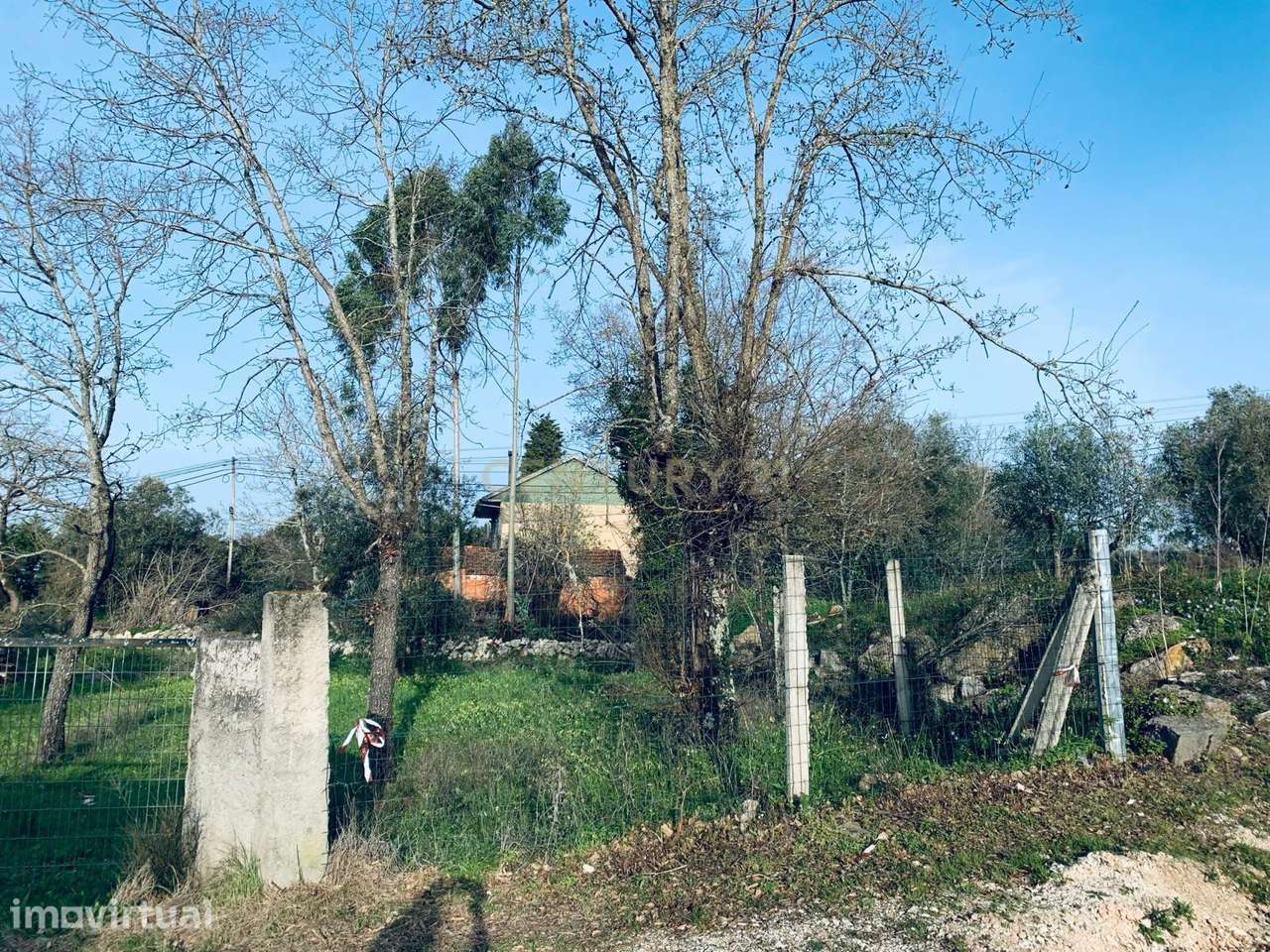 MoradiaT2  para restaurar em Pombal - Grande imagem: 3/34