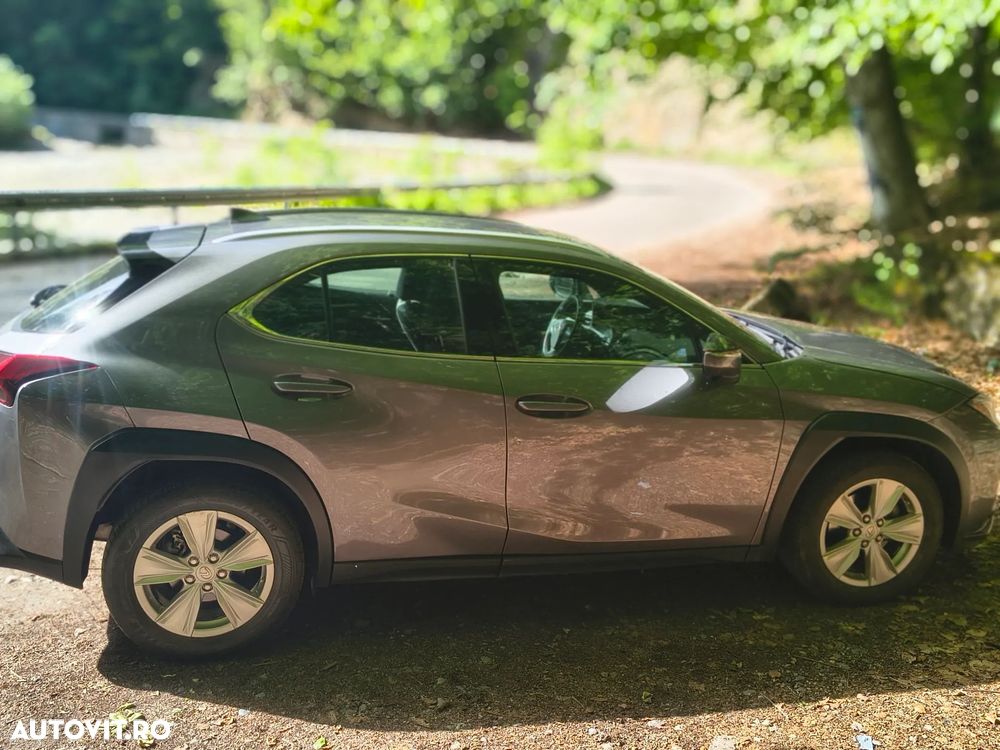 Lexus UX 250h (E-FOUR) Business Edition - 23