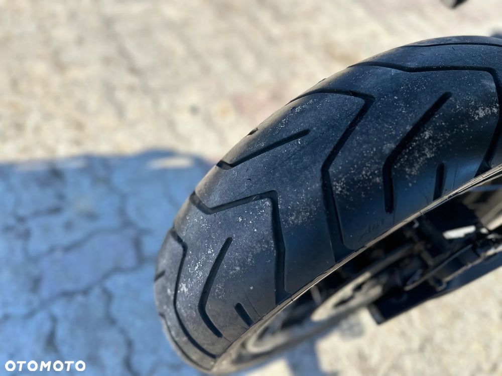 Triumph Tiger - 17