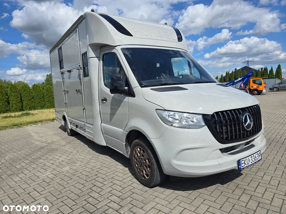 Mercedes-Benz Koniowóz-Sprinter - 6